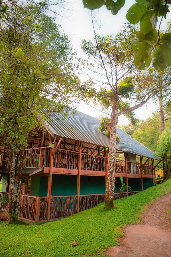 Cinnamon Village Sinharaja Deniyaya Exterior foto