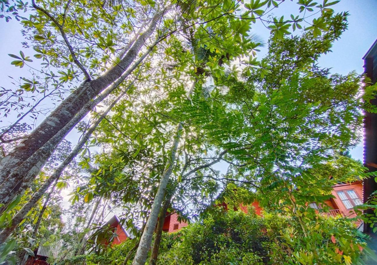 Cinnamon Village Sinharaja Deniyaya Exterior foto