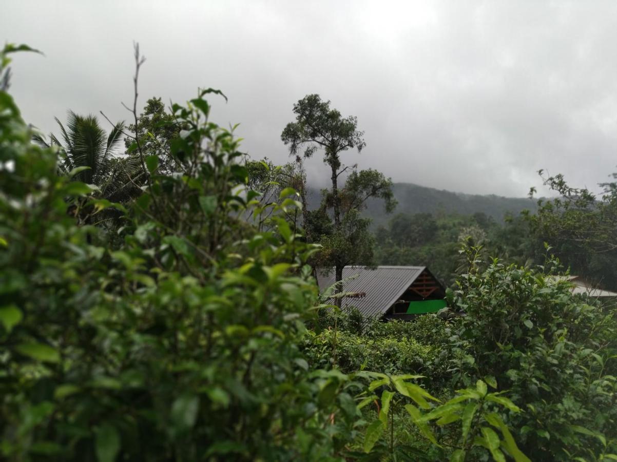 Cinnamon Village Sinharaja Deniyaya Exterior foto